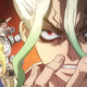 Dr. Stone